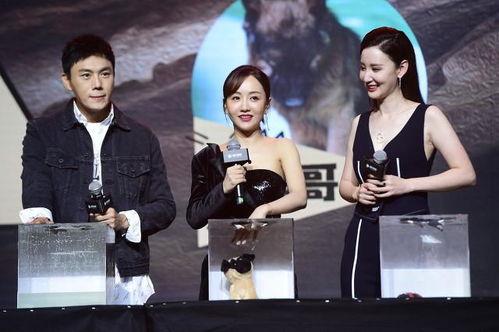 娱乐圈明星吃瓜合集小说